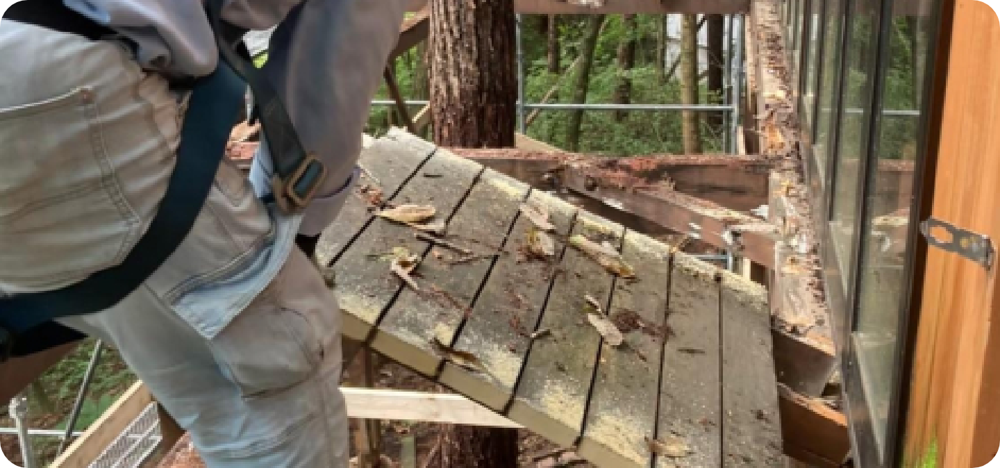 一部解体工事