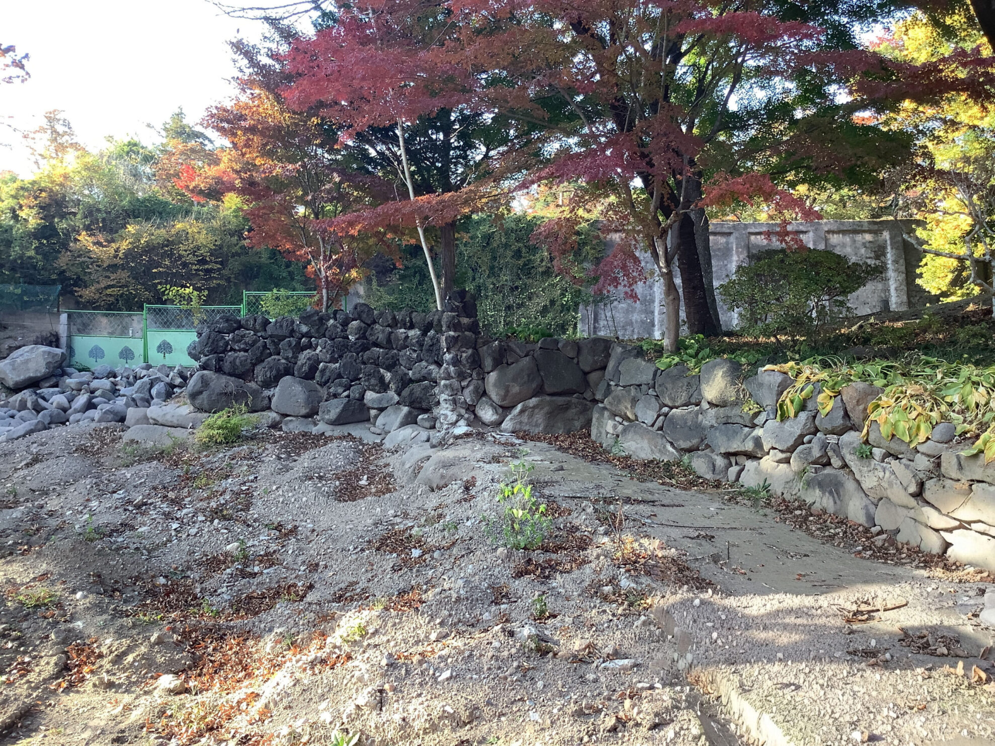 動物園解体工事