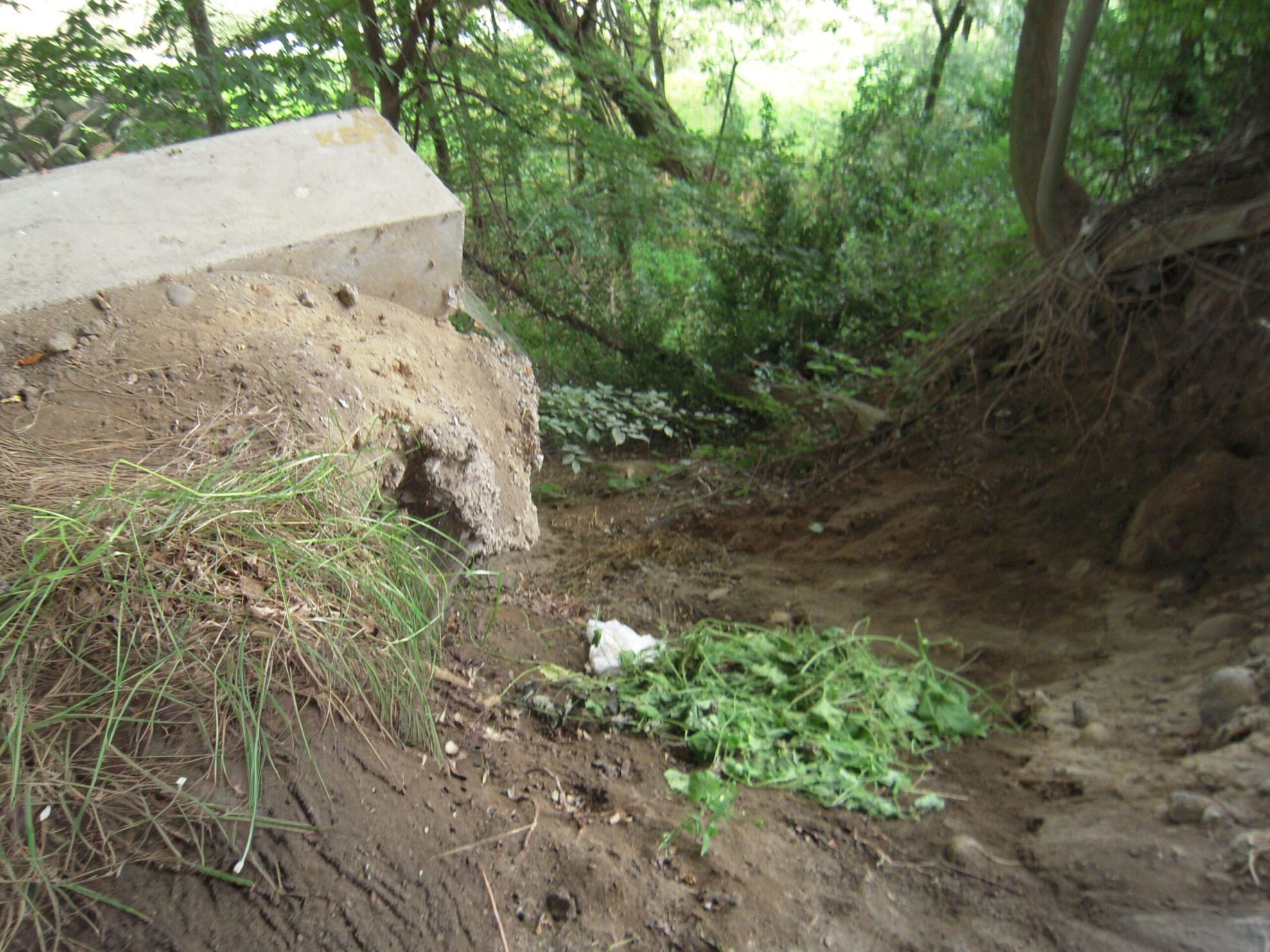 道路維持補修工事