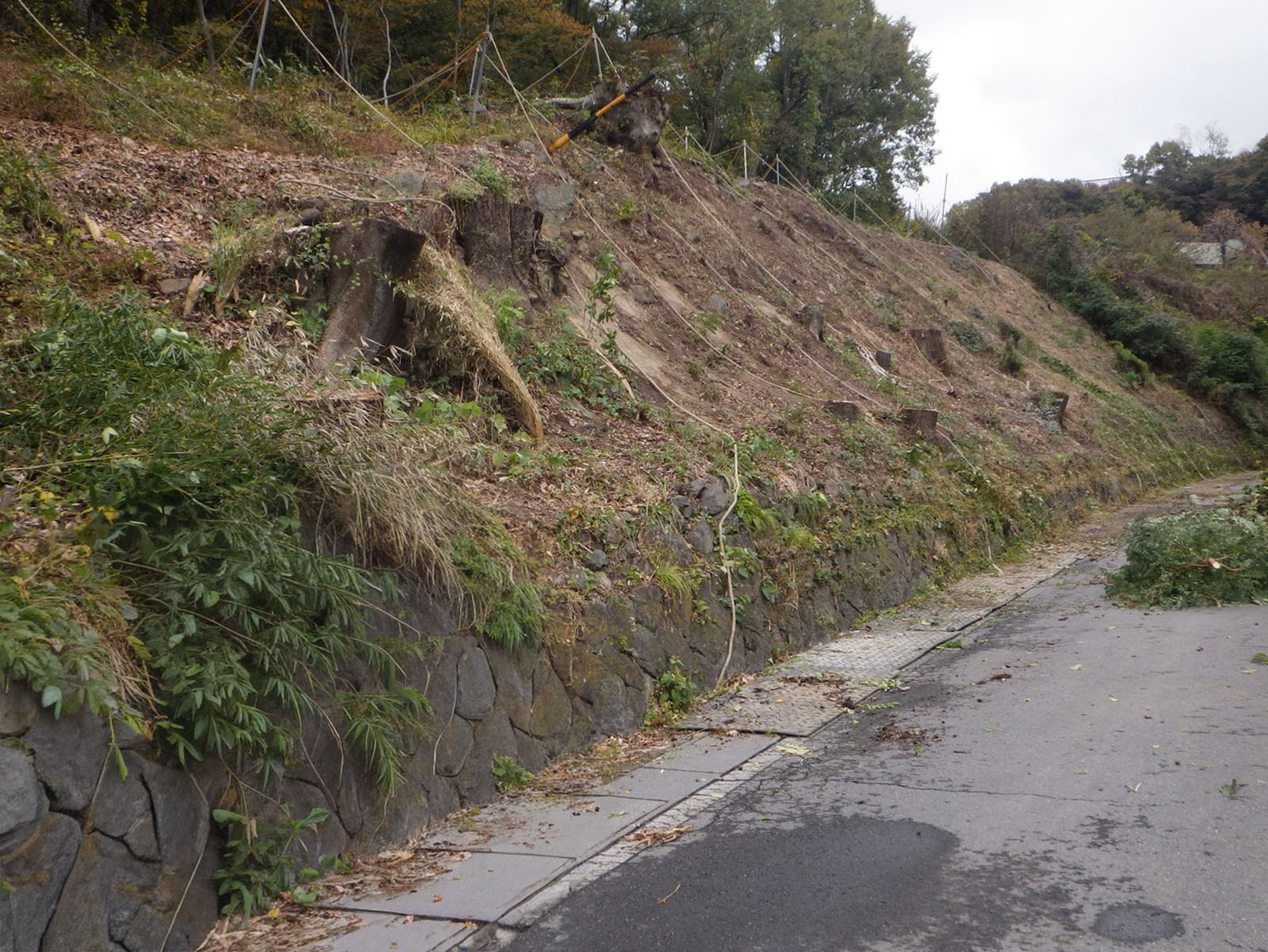 道路防災工事