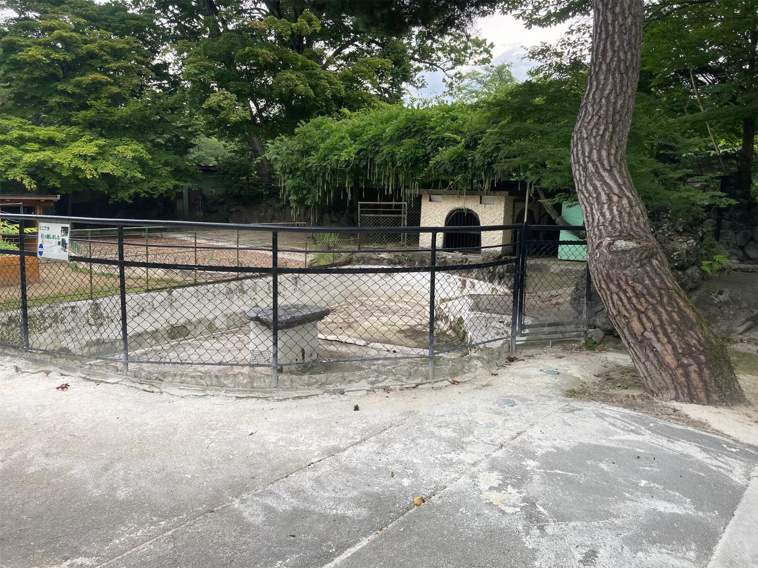 動物園解体工事
